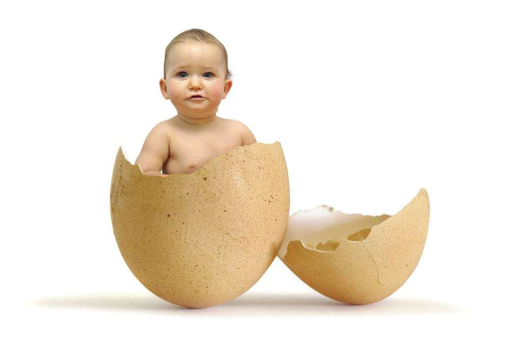 Travel Egg Donor preparation World’s Largest Database Widest Choice